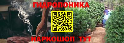 мдпв Гусь-Хрустальный