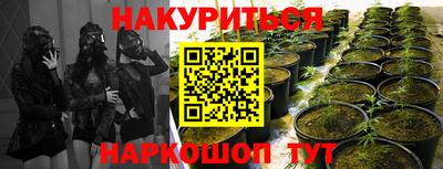 мдпв Гусь-Хрустальный